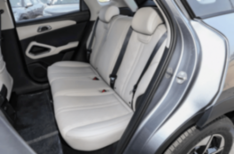 A0級純電中門對狙!東風納米06和元UP誰能笑到最后?