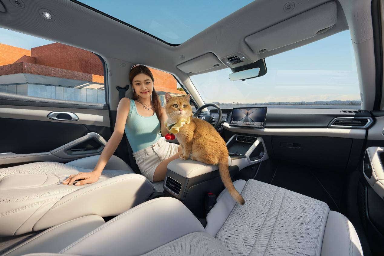 元UP加推301KM領航型,7.48萬元輕松入手,給年輕人即時滿足